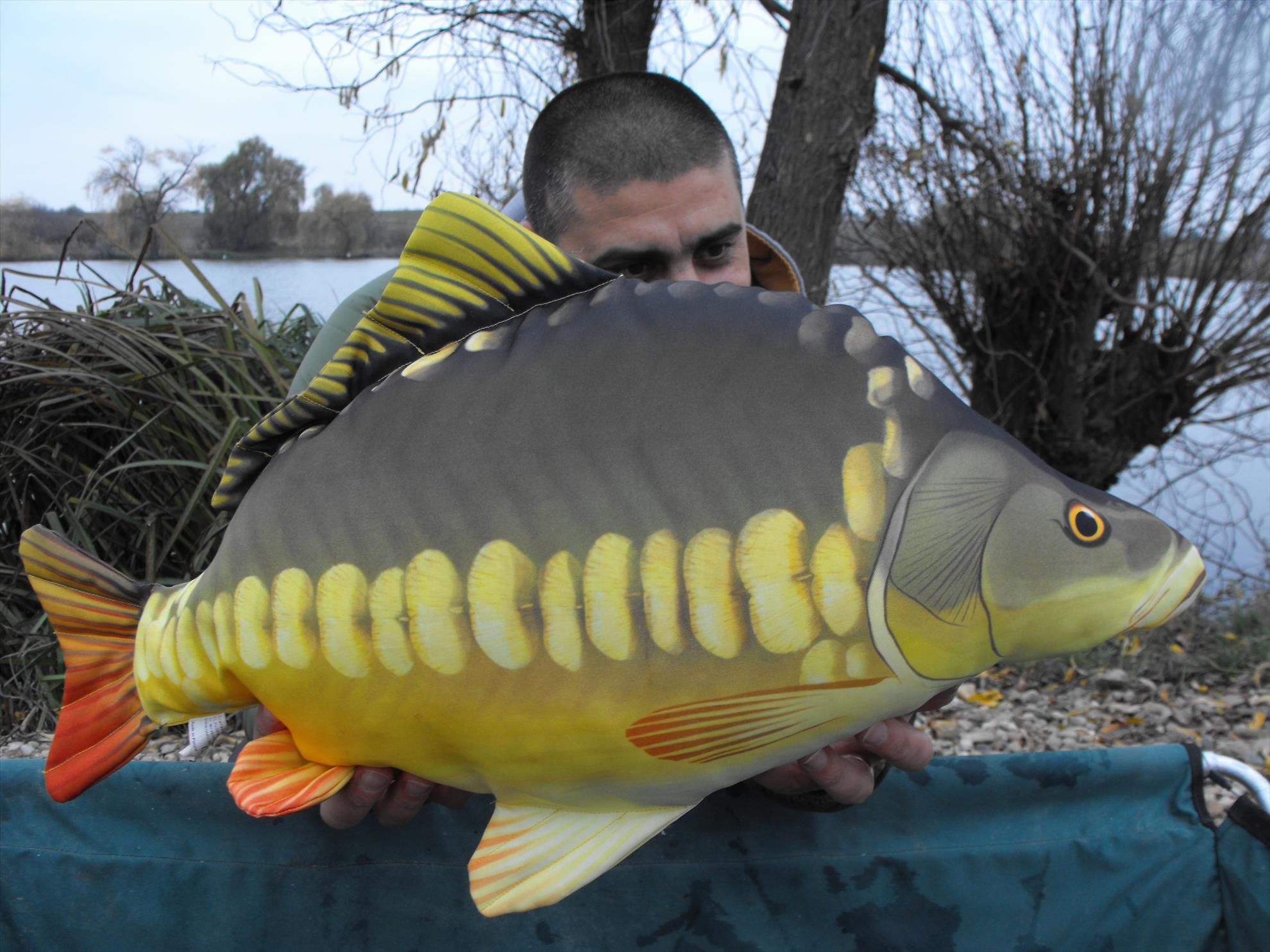 Diverse - dscf1028.JPG